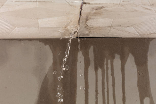 Professional Burst Pipe Cleanup technician working in Russellville, TN